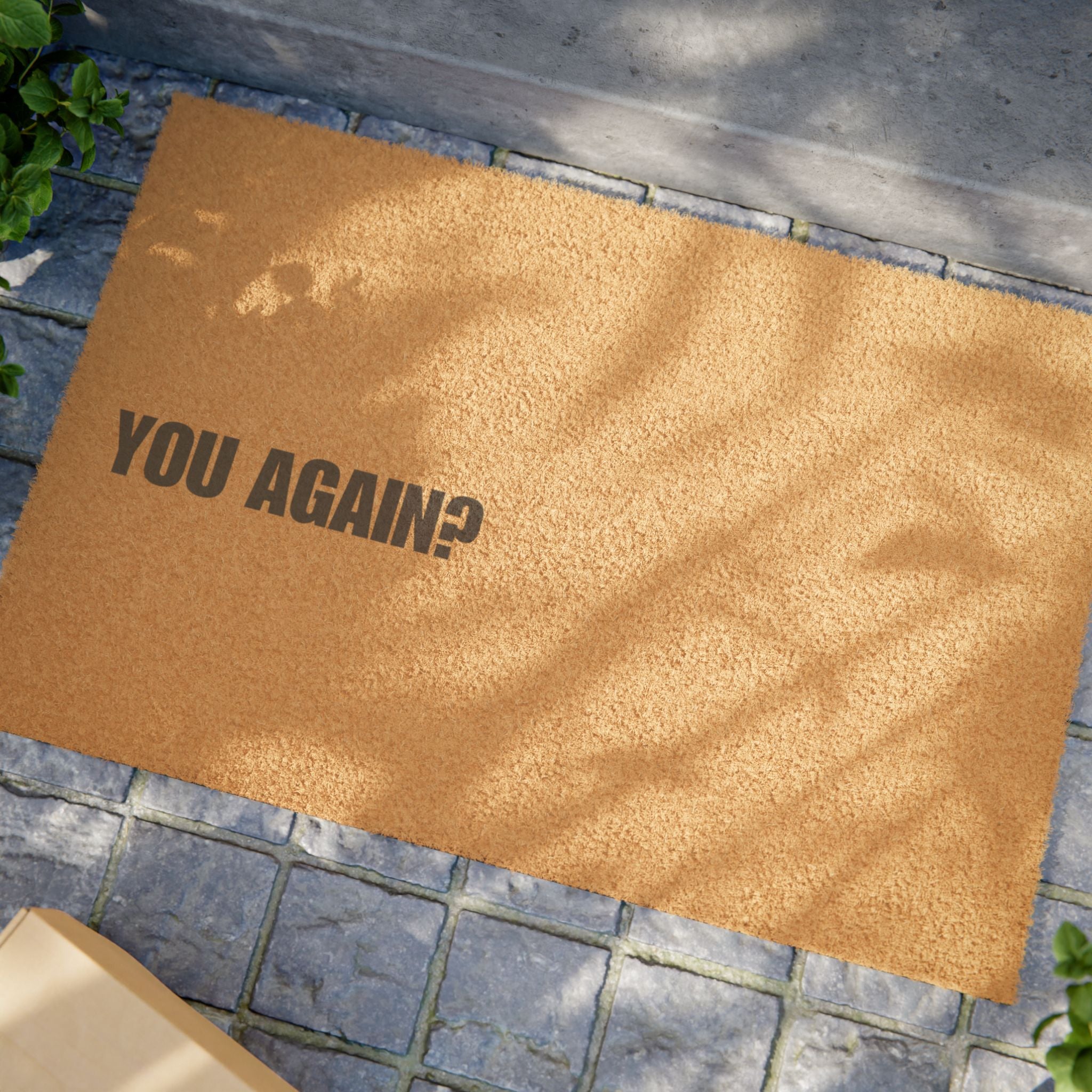 YOU AGAIN? Doormat