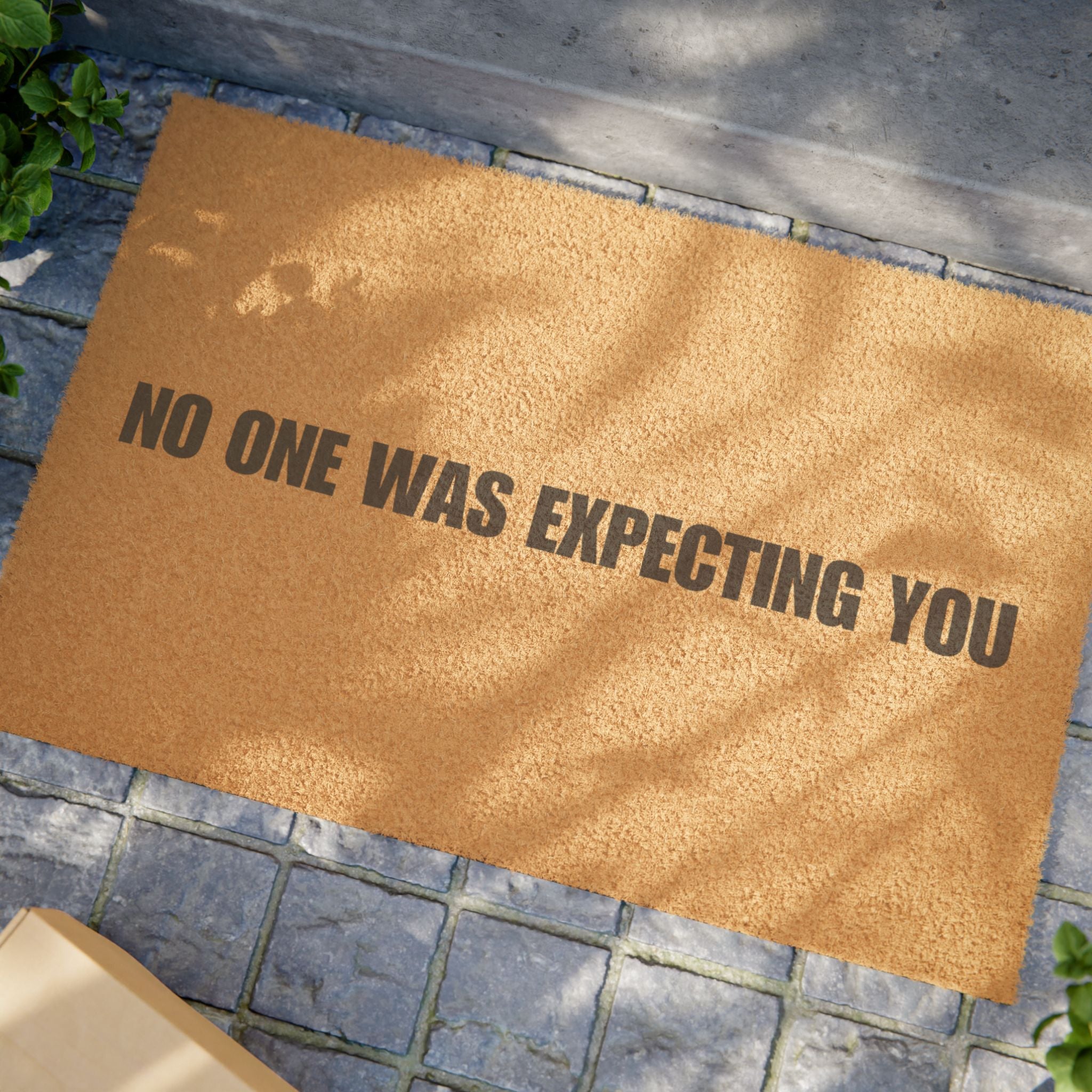 No One Was Expecting You. Doormat