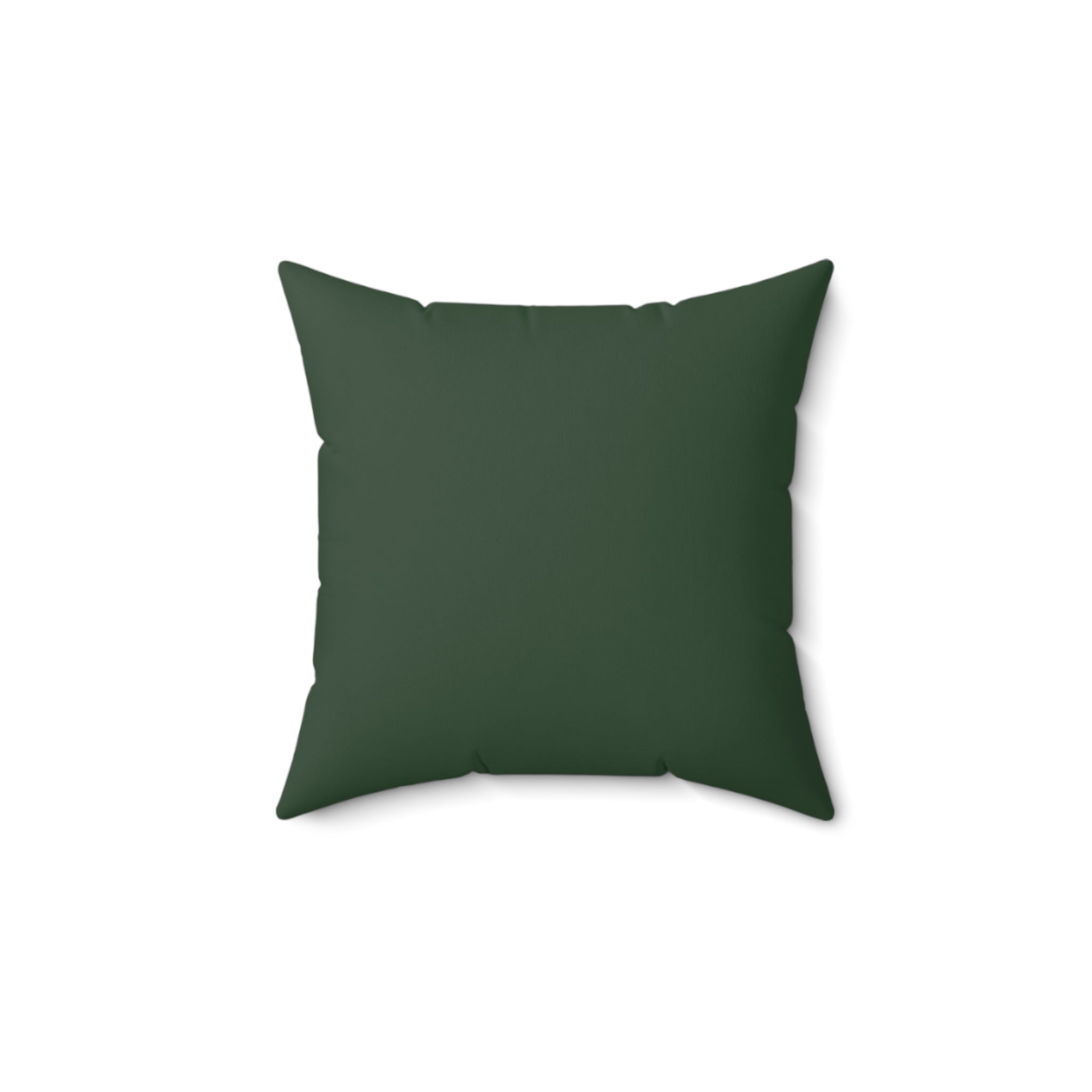 Talk to a Squirrel Square Pillow